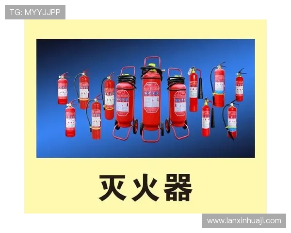 K8凯发官网地址安全登录技巧,避免账号被盗的实用安全措施 K8凯发官网地址安全登录技巧,避免账号被盗的实用安全措施