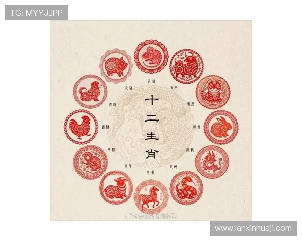 属龙属虎